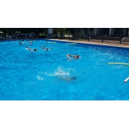 Colonia de Vacaciones - Diciembre 2014